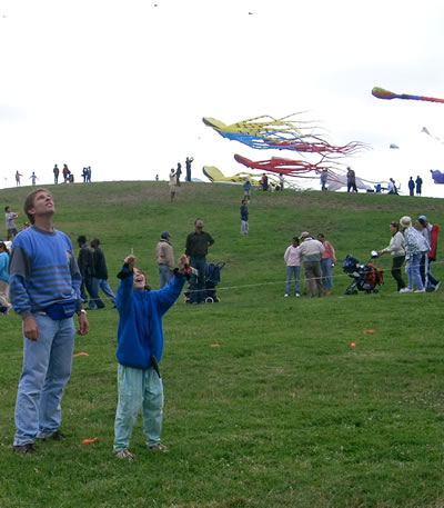 Berkeley Kite Festival